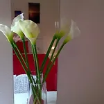 Cozy New Flat For 2 Or 3 Appartement Hvar Town