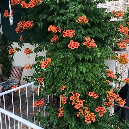 アパート Cozy New Flat For 2 Or 3 *