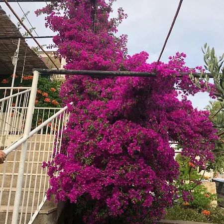Apartment Cozy New Flat For 2 Or 3 Hvar Town