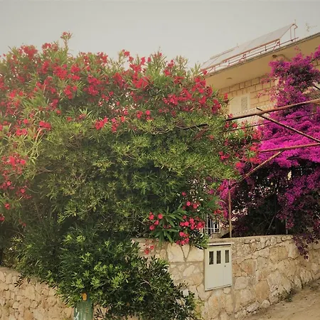 Cozy New Flat For 2 Or 3 アパート