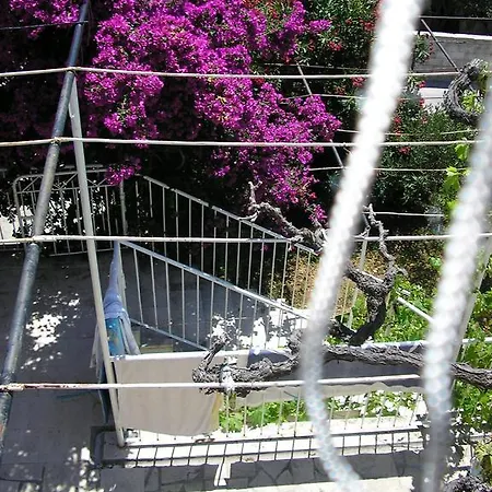 アパート Cozy New Flat For 2 Or 3