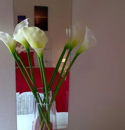 Cozy New Flat For 2 Or 3 شقة هفار