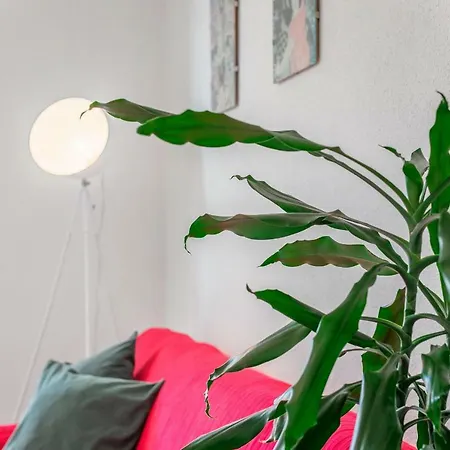 Cozy New Flat For 2 Or 3 شقة هفار