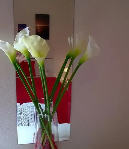 Cozy New Flat For 2 Or 3 Apartamento Hvar Town
